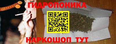 крисы Пушкино